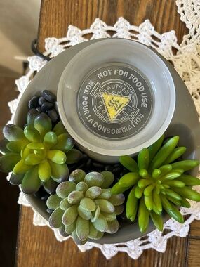 SENTSY Decorative Gray Succulent Bowl with Faux Greenery